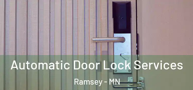 Automatic Door Lock Services Ramsey - MN