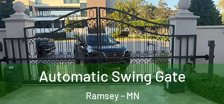  Automatic Swing Gate Ramsey - MN