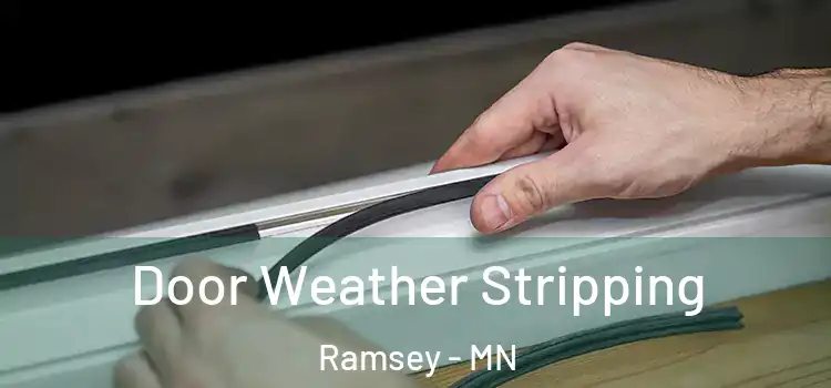 Door Weather Stripping Ramsey - MN