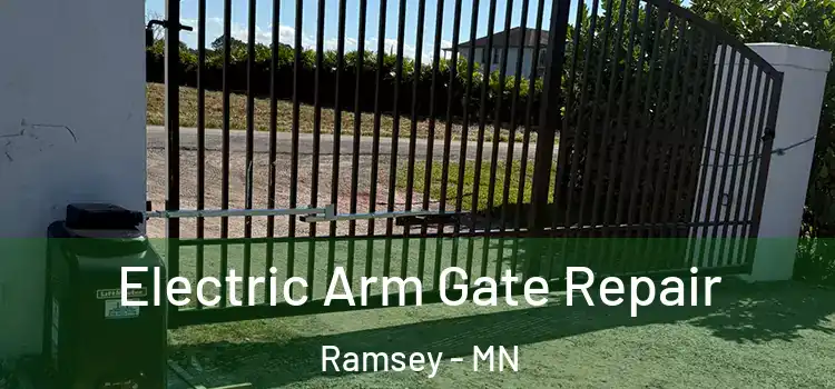 Electric Arm Gate Repair Ramsey - MN