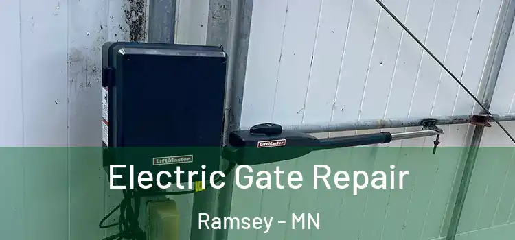  Electric Gate Repair Ramsey - MN