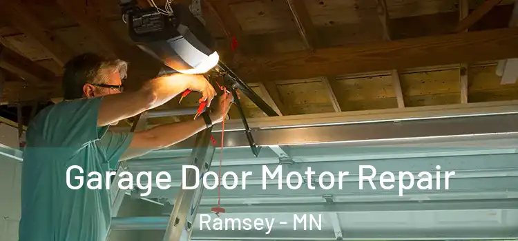  Garage Door Motor Repair Ramsey - MN