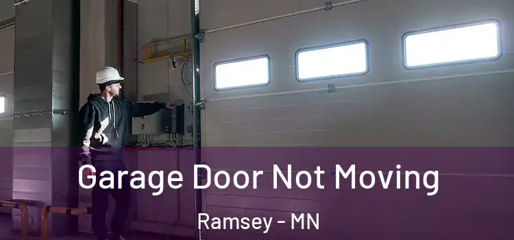  Garage Door Not Moving Ramsey - MN
