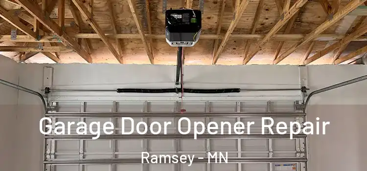  Garage Door Opener Repair Ramsey - MN
