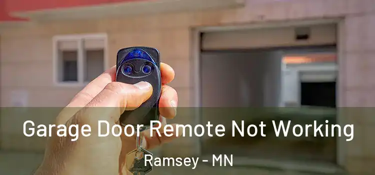  Garage Door Remote Not Working Ramsey - MN