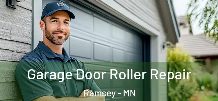  Garage Door Roller Repair Ramsey - MN