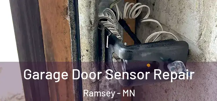 Garage Door Sensor Repair Ramsey - MN