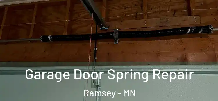  Garage Door Spring Repair Ramsey - MN