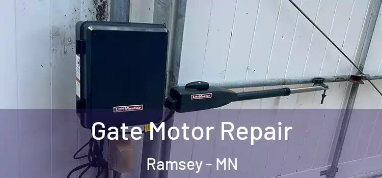 Gate Motor Repair Ramsey - MN