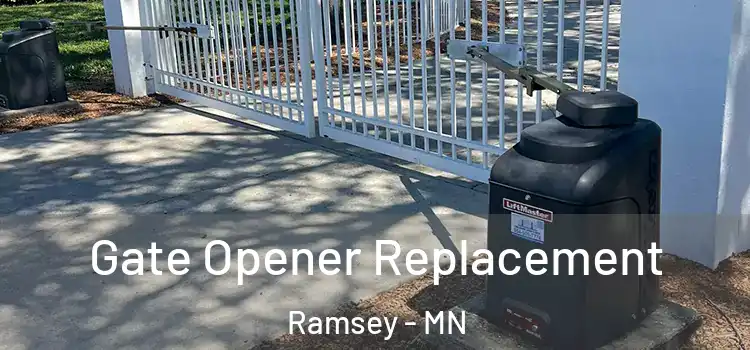 Gate Opener Replacement Ramsey - MN