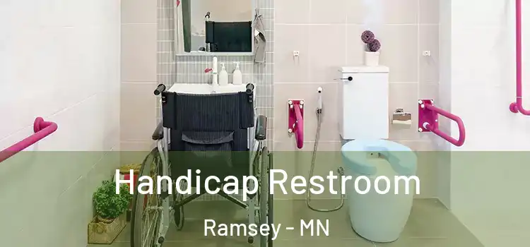 Handicap Restroom Ramsey - MN