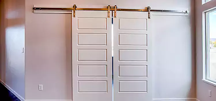 Glass Barn Door with Installation Hardware Kit Ramsey