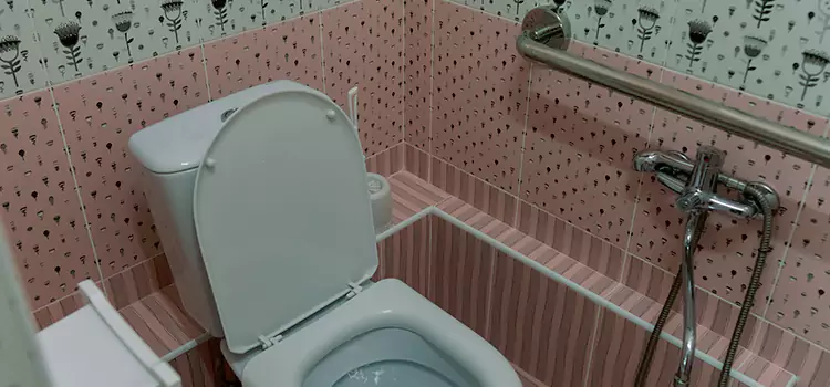 Meeting Diverse Needs With Accessible Restroom Solutions in Ramsey, MN