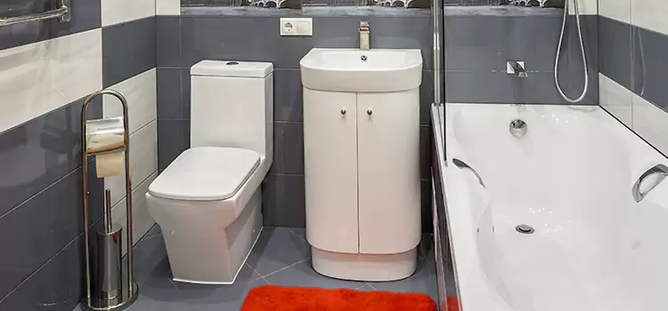 Hansgrohe Shaving Mirror Ramsey