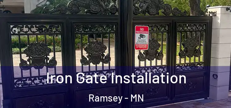 Iron Gate Installation Ramsey - MN