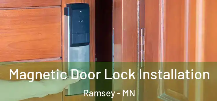  Magnetic Door Lock Installation Ramsey - MN