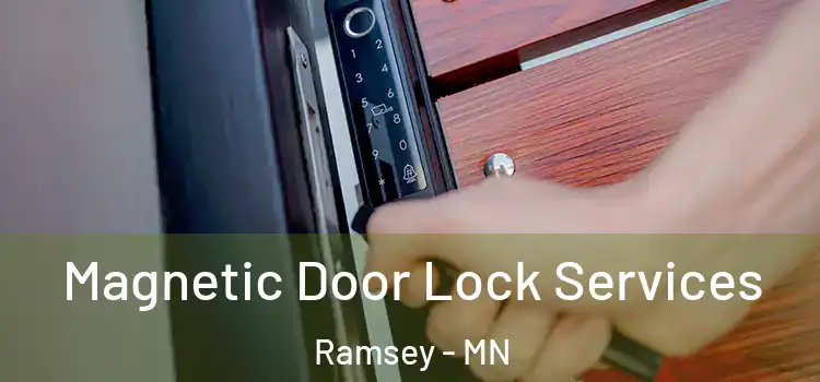 Magnetic Door Lock Services Ramsey - MN