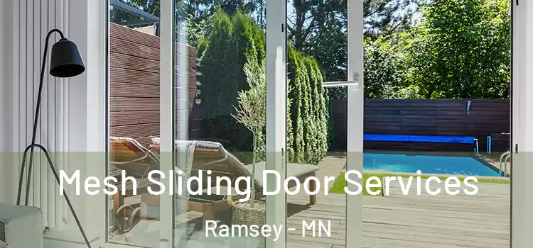 Mesh Sliding Door Services Ramsey - MN