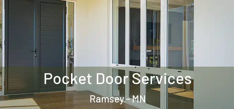  Pocket Door Services Ramsey - MN