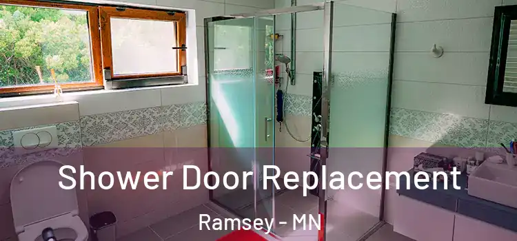 Shower Door Replacement Ramsey - MN