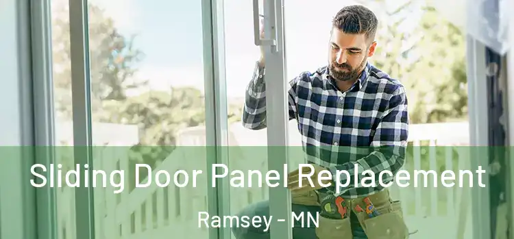  Sliding Door Panel Replacement Ramsey - MN