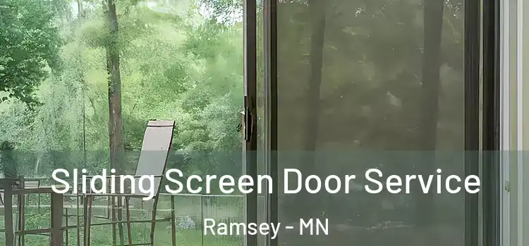 Sliding Screen Door Service Ramsey - MN