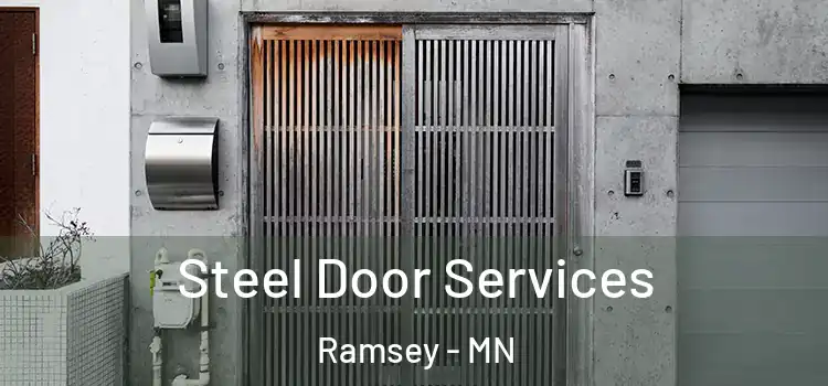 Steel Door Services Ramsey - MN